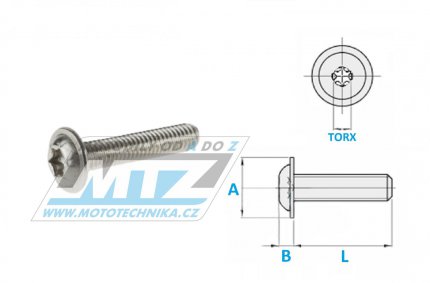 roub NEREZ s integrovanou podlokou TORX - Stainless Torx Bolt - D58-35-820 - M6x20mm